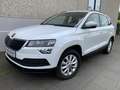 Skoda Karoq 1.6 TDI Ambition Kamera Navi CarPlay Alarm Weiß - thumbnail 18