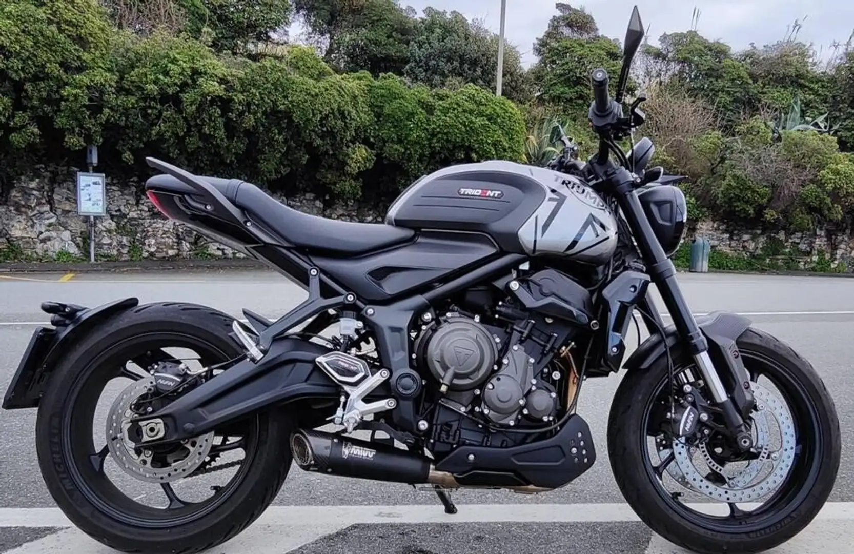 Triumph Trident 660 Grigio - 2