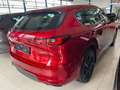 Mazda CX-60 Homura AWD Pano Mod25 Rojo - thumbnail 4