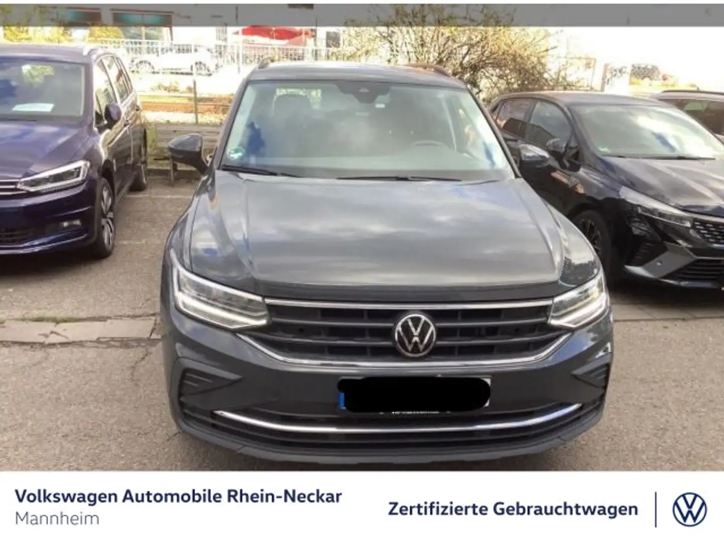 Volkswagen Tiguan 1.5 TSI Life AHK Navi uvm Grau - 2