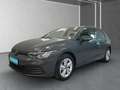 Volkswagen Golf VIII 1.0 eTSI LIFE DSG Navi*LED*RFK*ACC*APP Grau - thumbnail 2