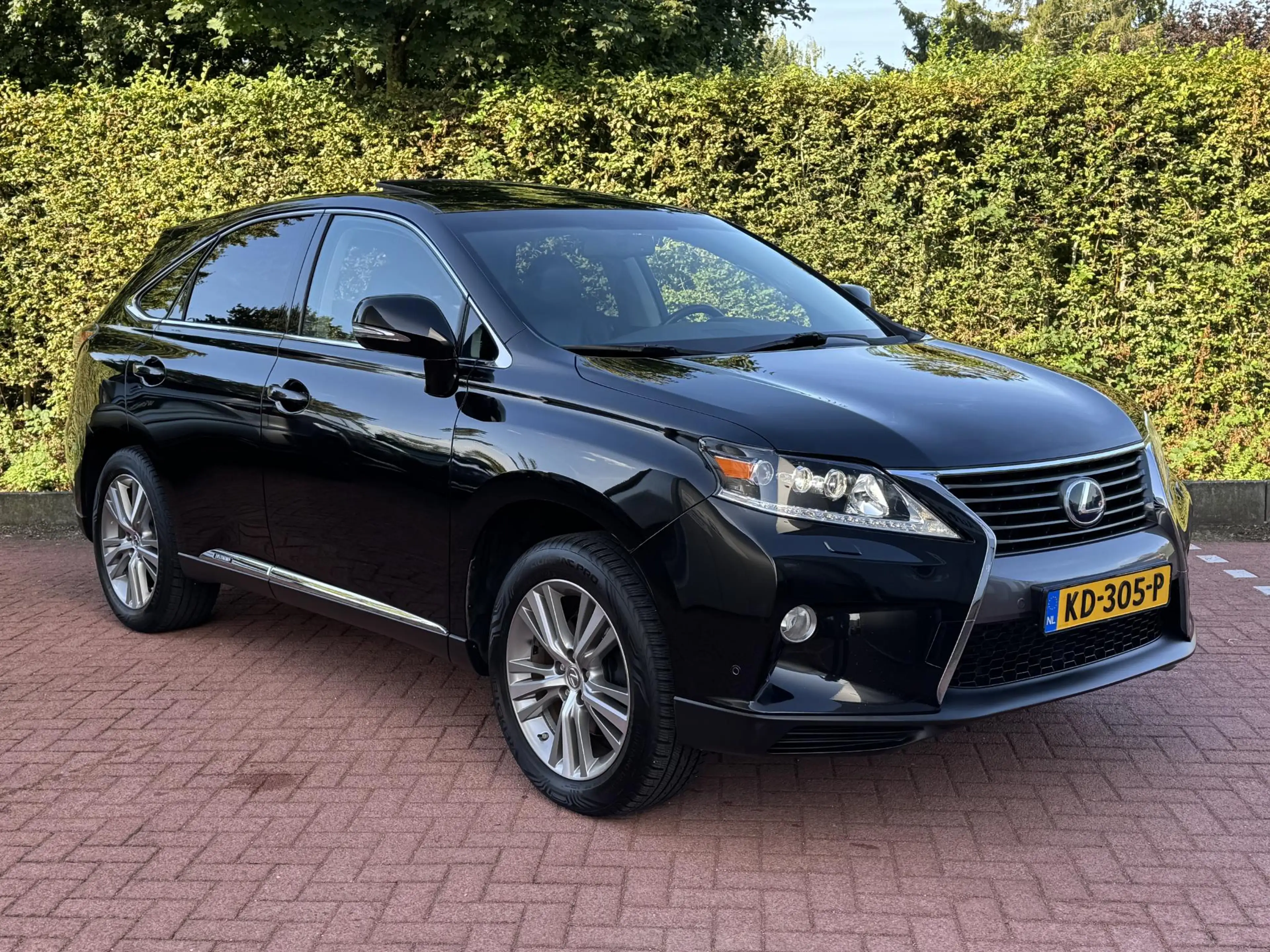 Lexus RX 450h 4WD Trekhaak Dakraam DEALER Onderhouden — photo 15