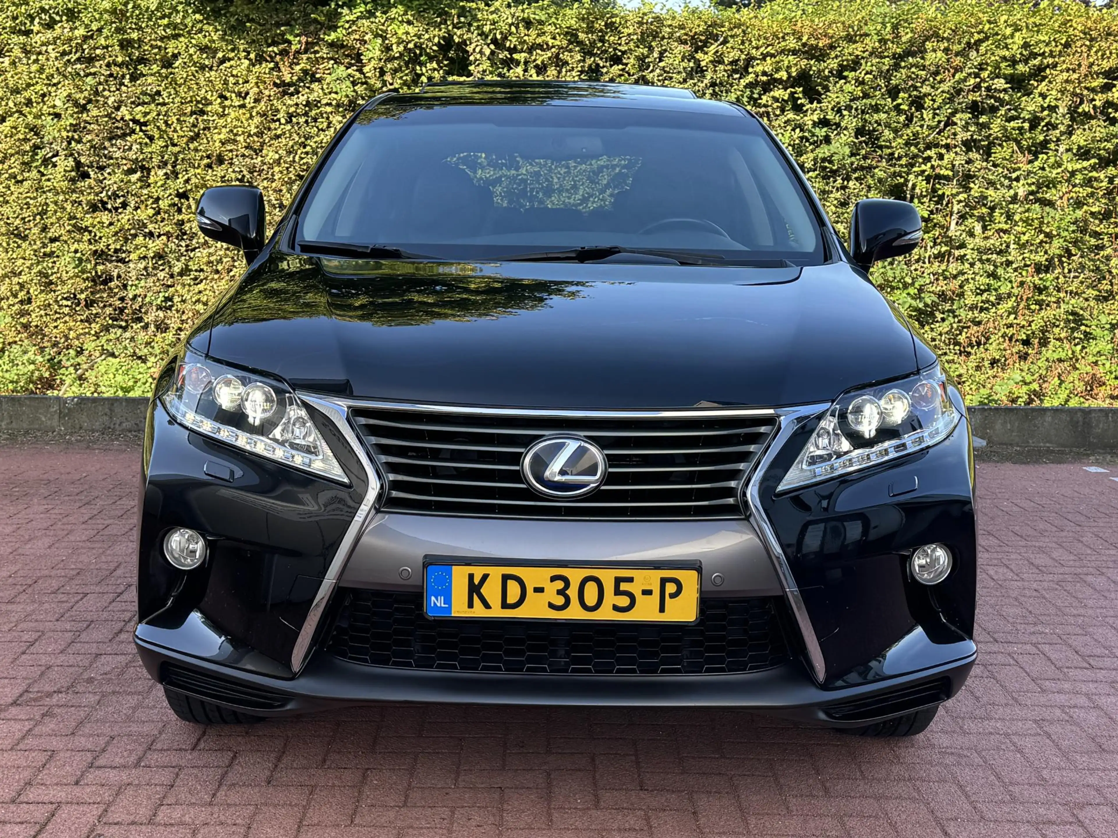 Lexus RX 450h 4WD Trekhaak Dakraam DEALER Onderhouden — photo 14