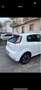 Fiat Punto 3p 1.3 mjt 16v Young 75cv - thumbnail 3