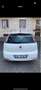 Fiat Punto 3p 1.3 mjt 16v Young 75cv - thumbnail 4