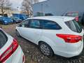 Ford Focus Turnier Business EXPORT Weiß - thumbnail 3