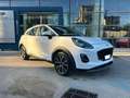 Ford Puma Puma 1.0 ecoboost h Titanium Design - SEDE MELITO Bianco - thumbnail 5