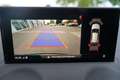 Audi Q2 40 2,0 TFSI quattro S line *Sonos* Panorama Grün - thumbnail 12