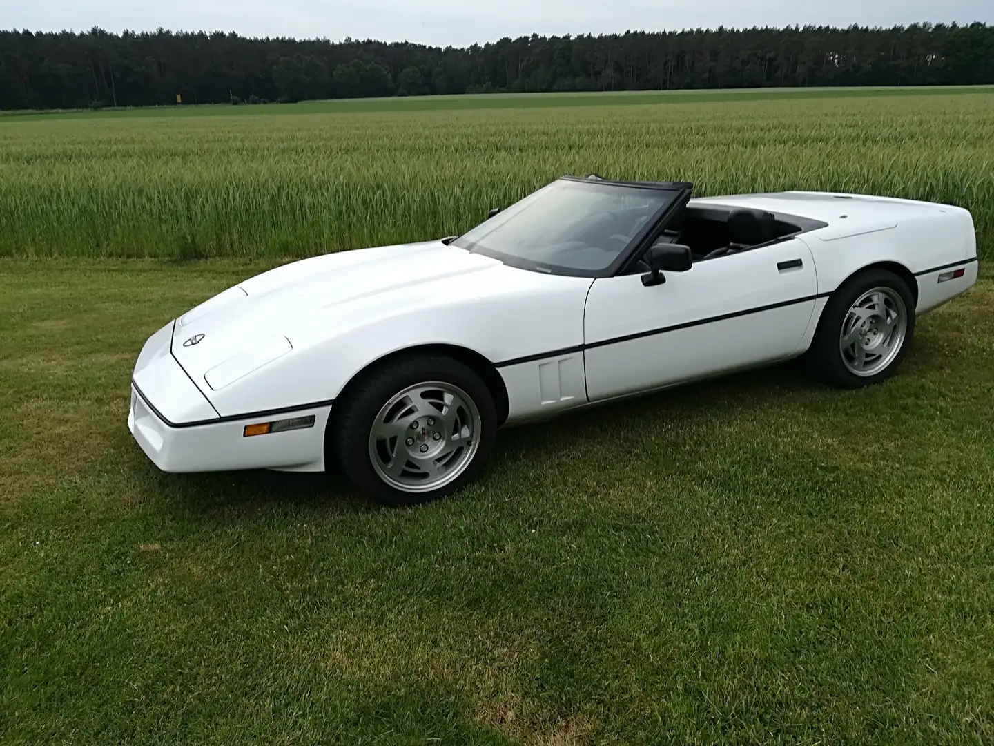 Corvette C4 Cabrio Alb - 1