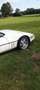 Corvette C4 Cabrio Alb - thumbnail 3