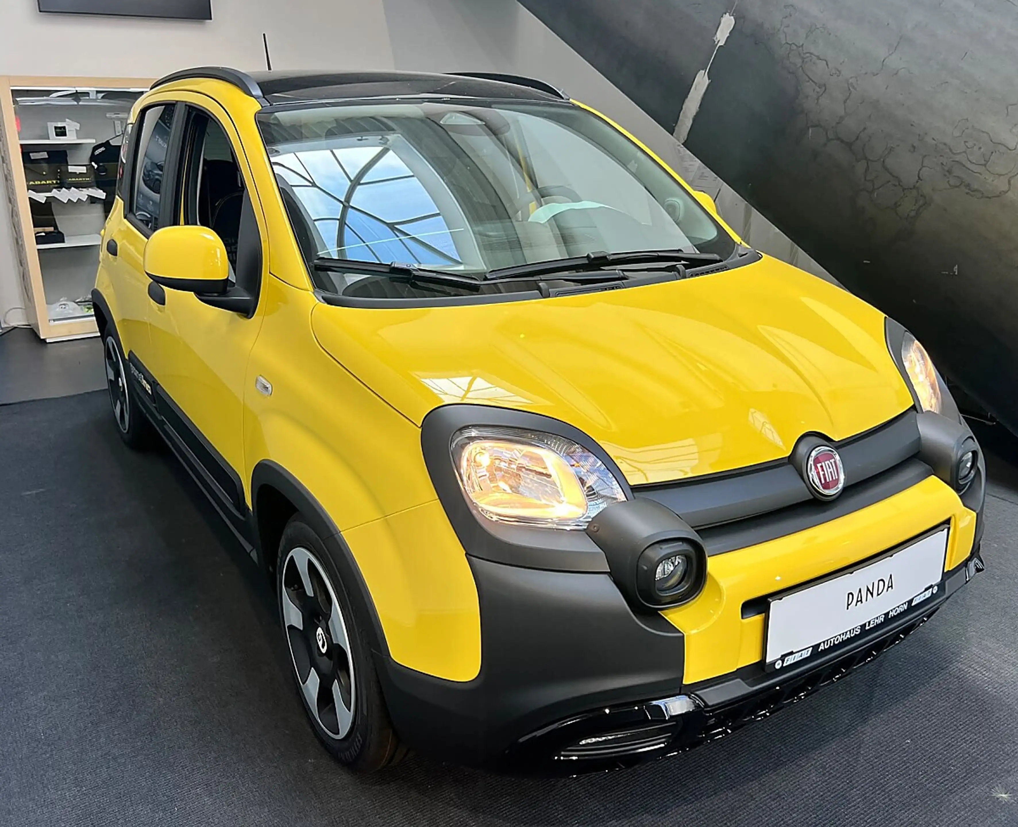 Fiat Pandina FireFly Hybrid 65 Cross