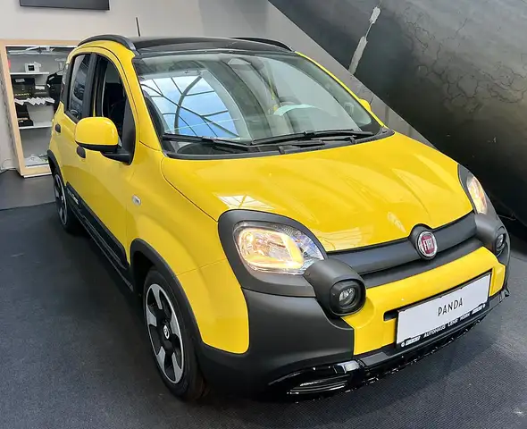 Fiat Pandina