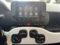 Fiat Pandina FireFly Hybrid 65 Cross Gelb - thumbnail 11