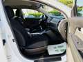 Kia Sportage III 1.6 2wd eco Gpl + FL Ok nEOPATENTATI Bianco - thumbnail 14
