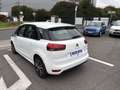 Citroen C4 Spacetourer BlueHDi 130ch S&amp;S Business EAT8 E6.d-TEMP Blanco - thumbnail 4