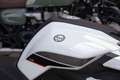 Benelli TRK 502 X ABS, sofort lieferbar Blanco - thumbnail 9