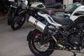 Benelli TRK 502 X ABS, sofort lieferbar White - thumbnail 6