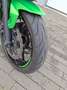 Kawasaki ER - 6 F A2 gedrosselt Zielony - thumbnail 9