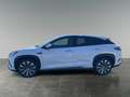 BYD Sealion 7 Excellence AWD Weiß - thumbnail 2