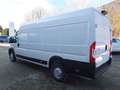 Citroen 35 L4H2 Heavy S&S Blanc - thumbnail 1