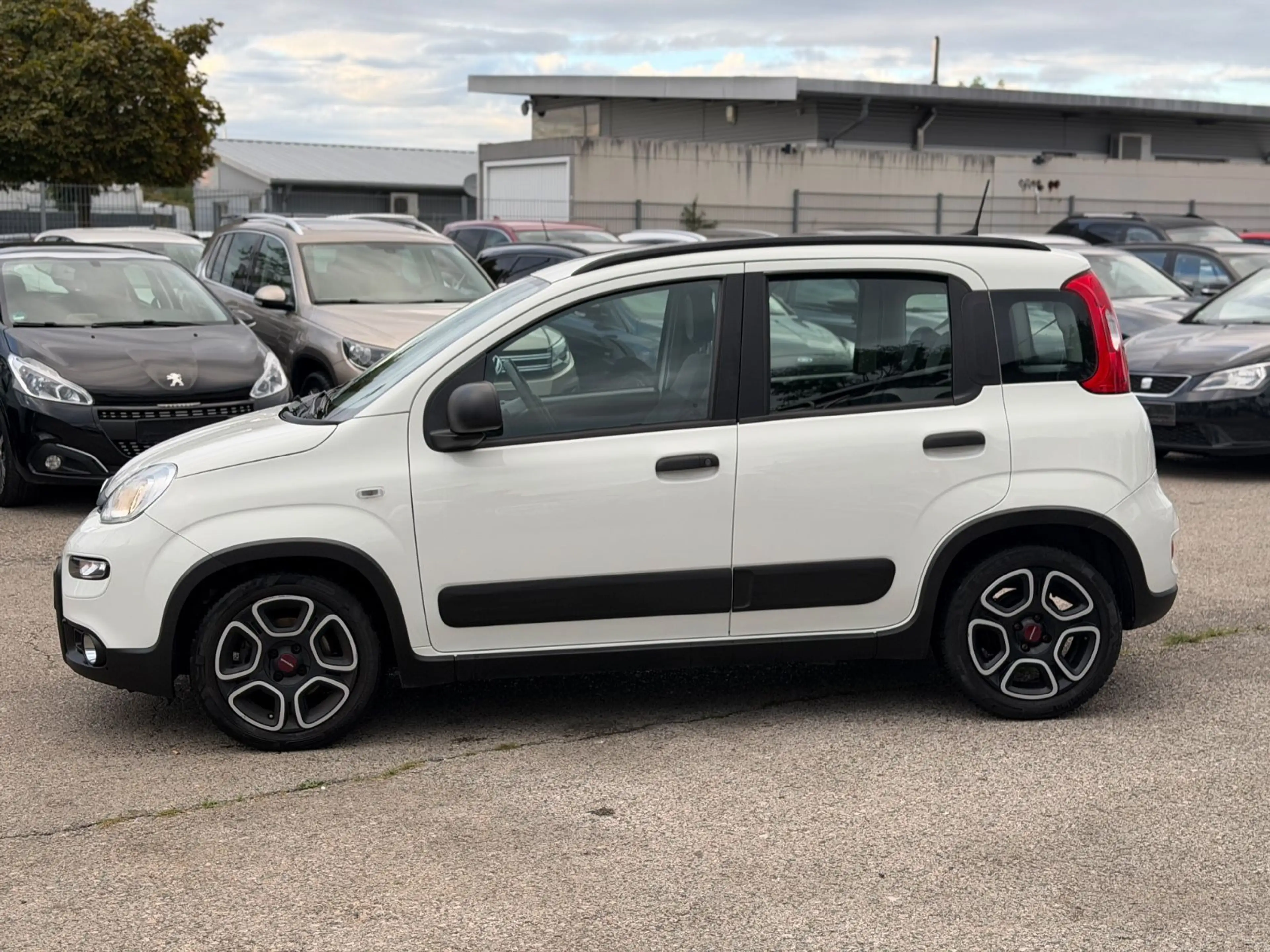 Fiat Panda City Life — photo 8