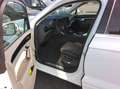 Volkswagen Touareg 3.0 TDI Elegance STANDHZG+LUFT+AHK+PANO+MATRIX+WR Weiß - thumbnail 3