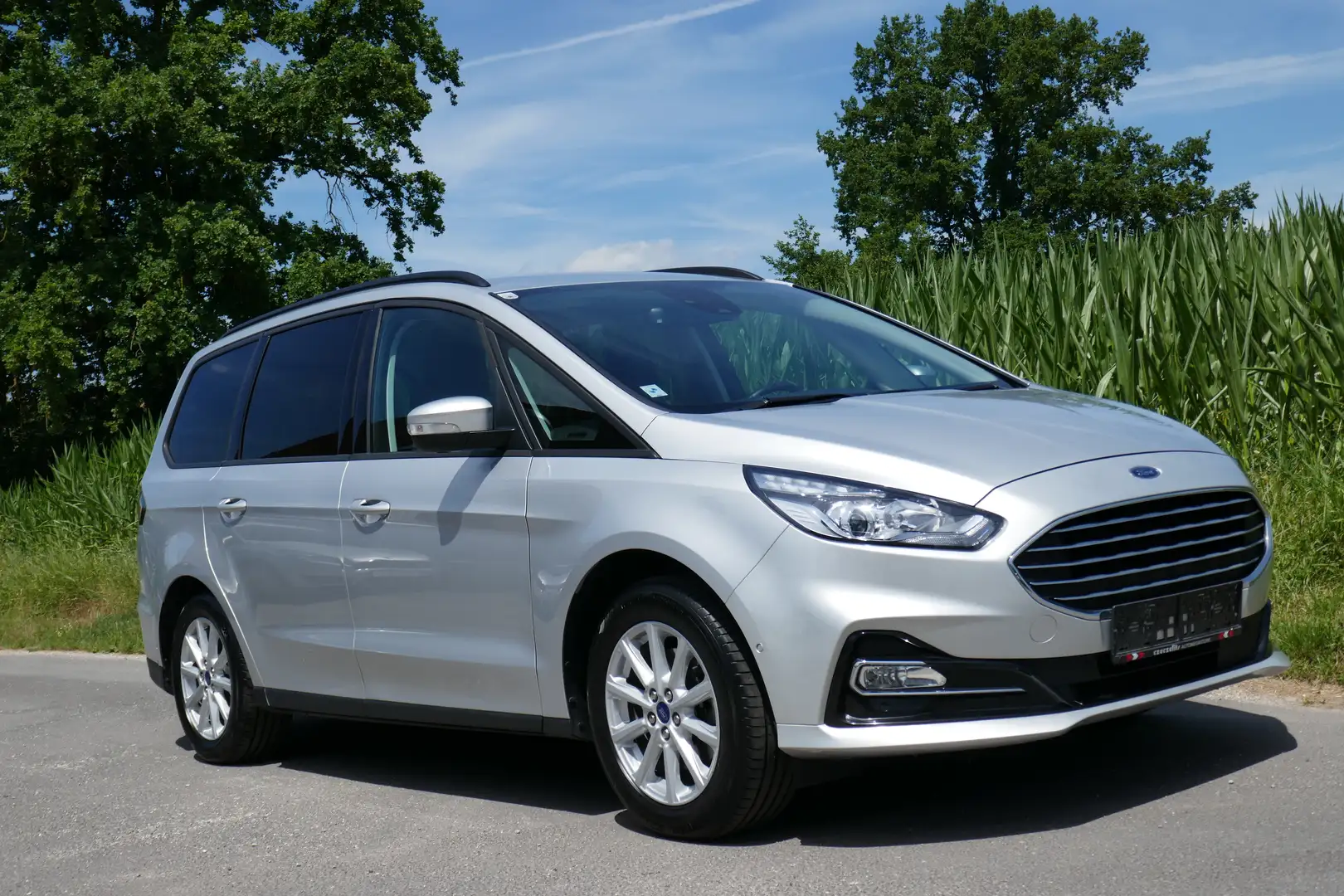 Ford Galaxy Business Hybrid Argento - 1