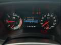 Ford Ranger Raptor DoKa 2.0l TDCi Panther 4x4/Keyless/Klima Gris - thumbnail 23