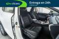 Lexus NX 300h Business Navigation 2WD Blanco - thumbnail 16