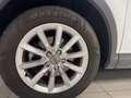 Audi Q3 Q3 2.0 TDI 150 CV Blanc - thumbnail 5