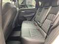 Nissan Qashqai TEKNA+ 1.5 VC-T e-POWER 20-Zoll Leder LED Navi Key Grey - thumbnail 6