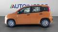 Fiat New Panda 1.0 FireFly Hybrid Orange - thumbnail 2