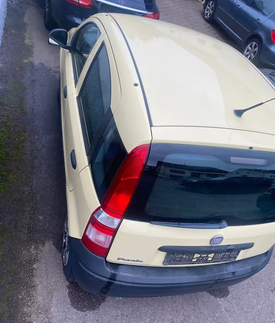 Fiat Panda 1.1 8V Active TÜV NEU Gelb - 2