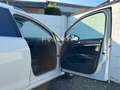 Volkswagen Golf VII Variant Highline Massage Teilleder SHZ Bianco - thumbnail 15