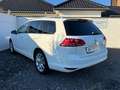 Volkswagen Golf VII Variant Highline Massage Teilleder SHZ Bianco - thumbnail 3