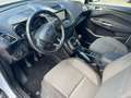 Ford C-Max C-Max 1.0 EcoBoost 125CV Start&Stop Titanium Wit - thumbnail 3