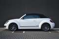 Volkswagen New Beetle Cabrio 1.2 TSi Club Edition Blanc - thumbnail 8