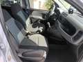 Fiat Panda City Cross 1.0 Hybrid 70 CV Grau - thumbnail 13