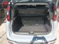 Fiat Panda City Cross 1.0 Hybrid 70 CV Grau - thumbnail 21