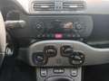 Fiat Panda City Cross 1.0 Hybrid 70 CV Grau - thumbnail 10