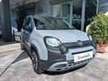 Fiat Panda City Cross 1.0 Hybrid 70 CV Grau - thumbnail 1