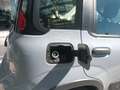 Fiat Panda City Cross 1.0 Hybrid 70 CV Grau - thumbnail 18