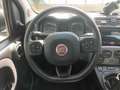 Fiat Panda City Cross 1.0 Hybrid 70 CV Grau - thumbnail 8