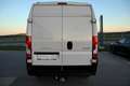 Peugeot Boxer Boxer 35+ L3H2 BlueHDi 140 S&S *Navigation*AHK* Weiß - thumbnail 20