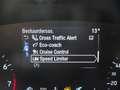 Ford Focus Wagon 1.0 Turbo 125pk Mild Hybride ST Line Busines Gris - thumbnail 22