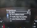 Ford Focus Wagon 1.0 Turbo 125pk Mild Hybride ST Line Busines Gris - thumbnail 21