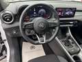 Alfa Romeo Tonale 1.6 diesel 130 CV TCT6 Sprint Bianco - thumbnail 12