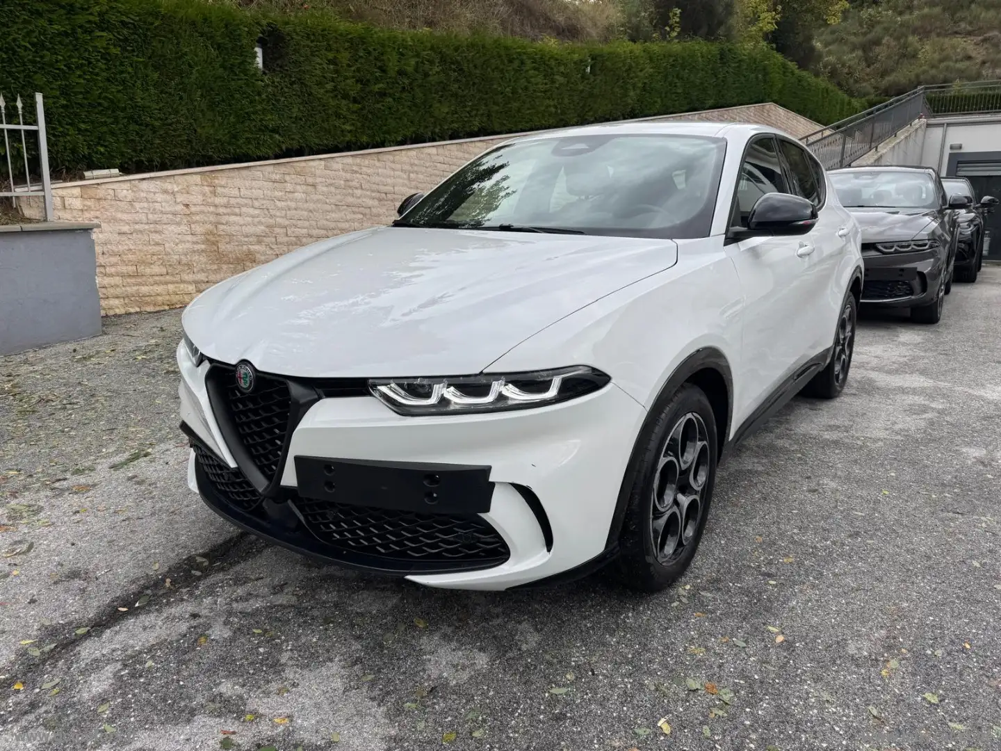 Alfa Romeo Tonale 1.6 diesel 130 CV TCT6 Sprint Bianco - 1