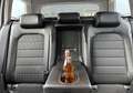 Volkswagen Golf 1,6 BMT TDI - Massegesitze - Müdigkeitswarnsyst... Grau - thumbnail 28
