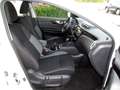 Nissan Qashqai 1.7 dci Business 4wd 150cv cvt Blanc - thumbnail 10